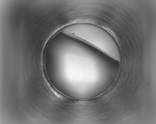 X0000076340894200609290916