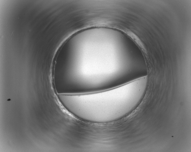 X0000076340904200609290915