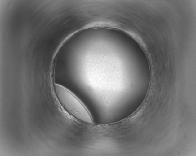 X0000076340912200609290915