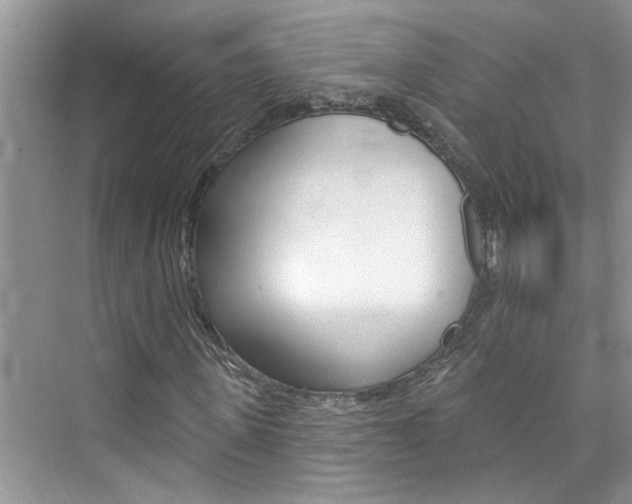 X0000076340915200609290915