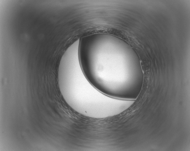 X0000076340916200609290915