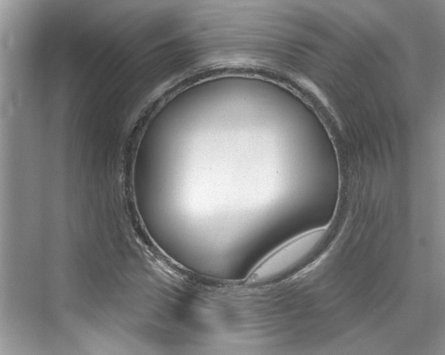 X0000076340922200609290915