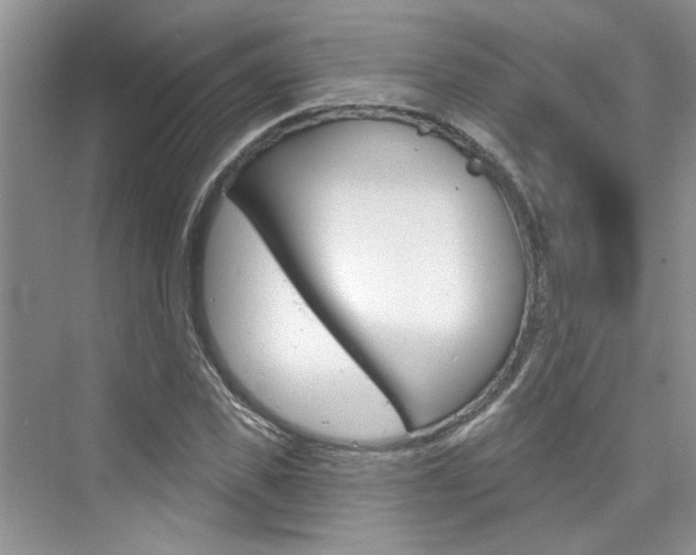 X0000076340925200609290915