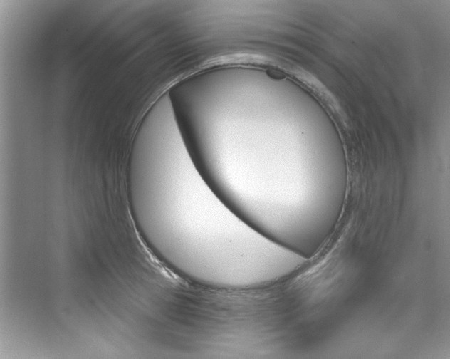 X0000076340945200609290915