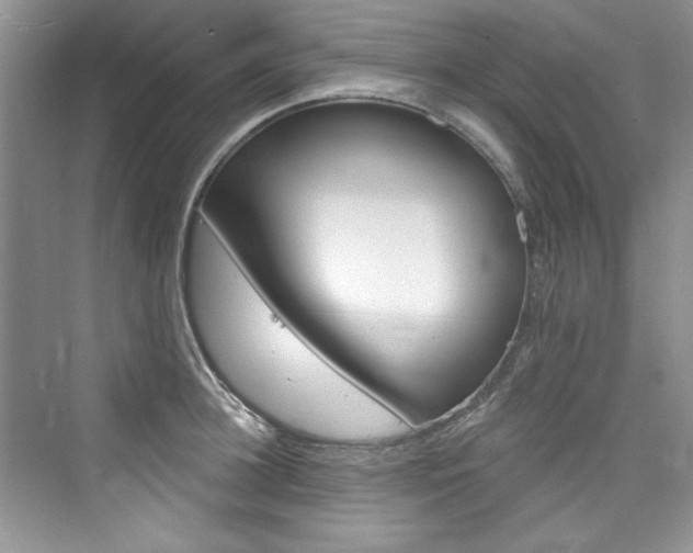 X0000076340948200609290915
