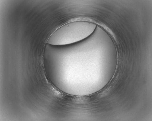 X0000076340953200609290915