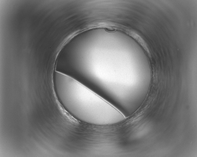 X0000076340954200609290915