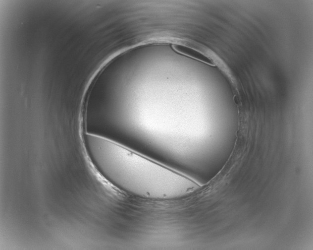 X0000076340955200609290915