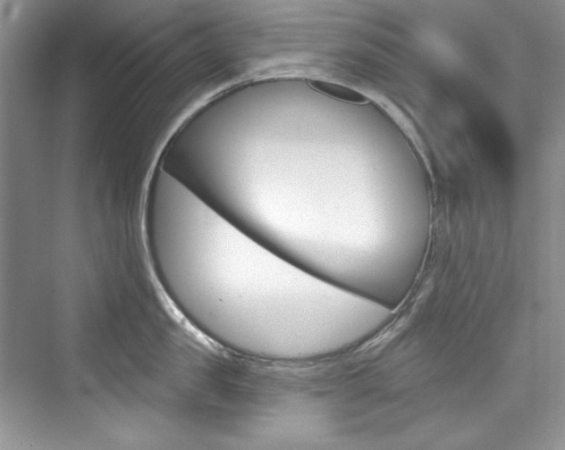 X0000076340957200609290915