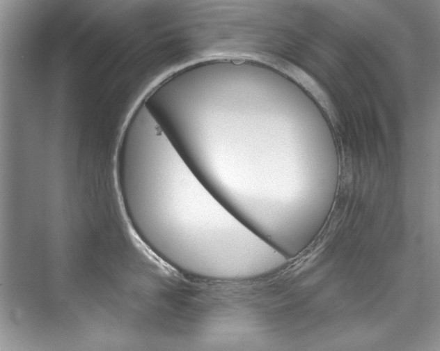 X0000076340958200609290915