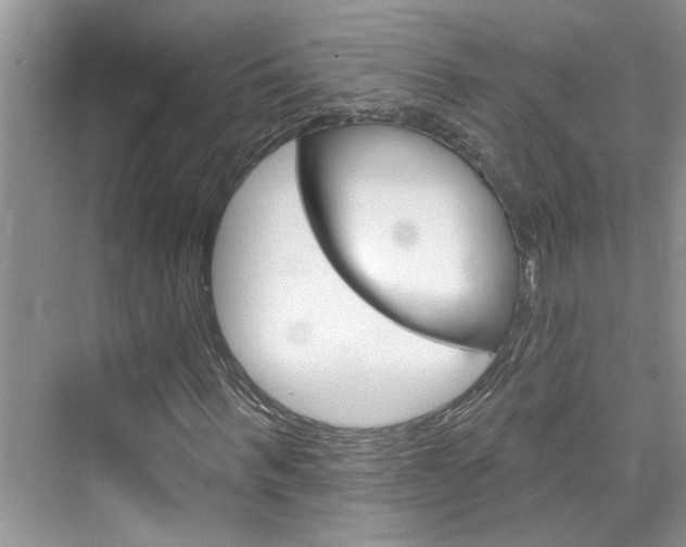 X0000076340963200609290914