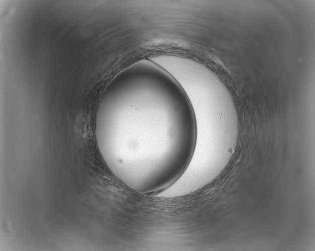 X0000076340965200609290914