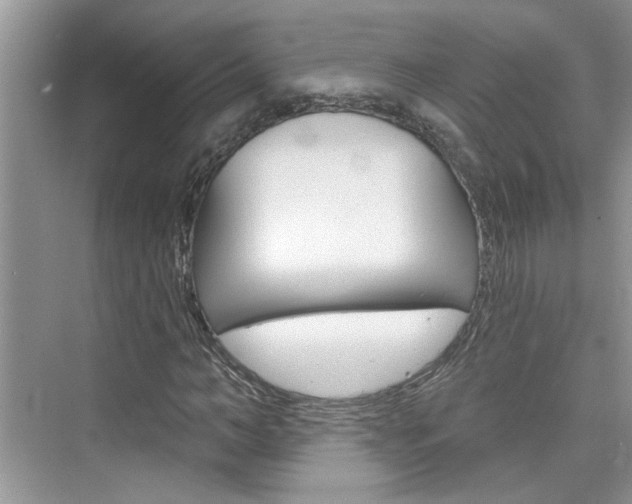 X0000076340966200609290914