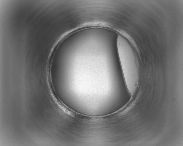 X0000076340989200609290914