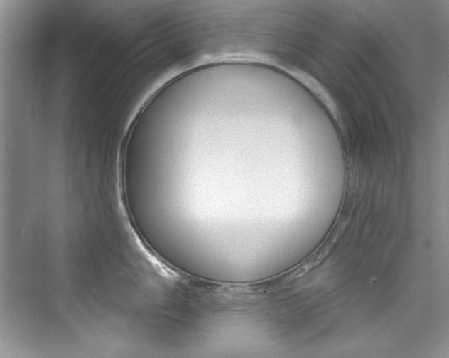 X0000076341006200609290914