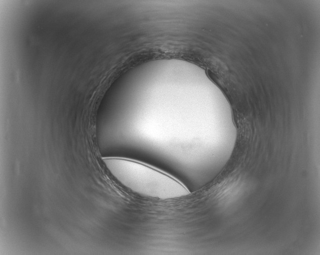 X0000076341009200609290913