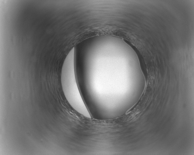 X0000076341010200609290913