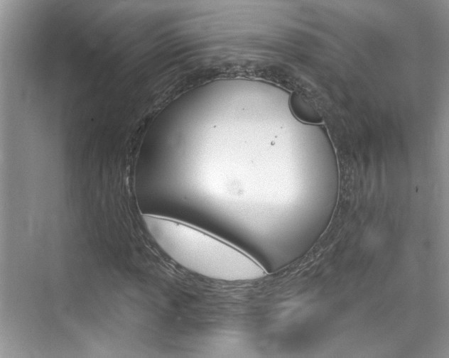 X0000076341013200609290913
