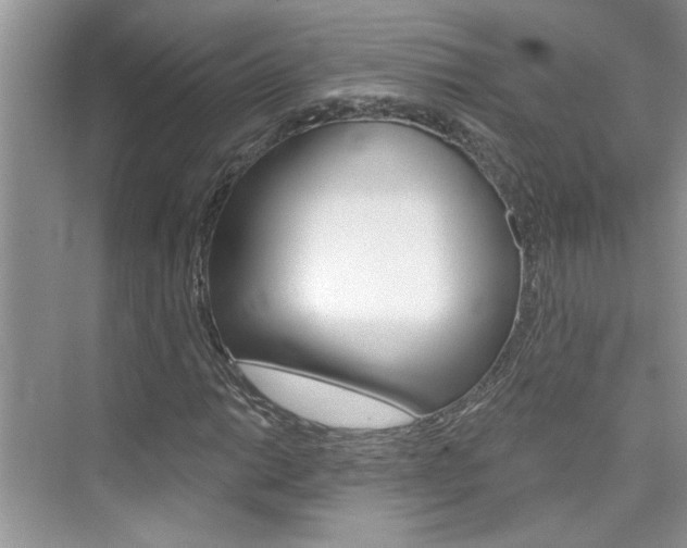 X0000076341014200609290913