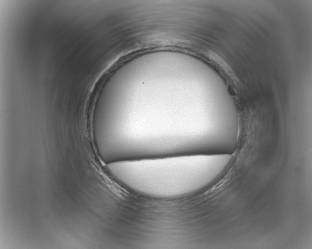 X0000076341023200609290913