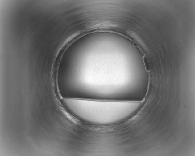 X0000076341026200609290913