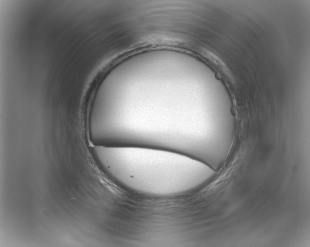 X0000076341027200609290913