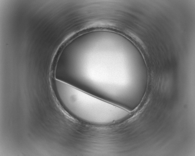 X0000076341029200609290913