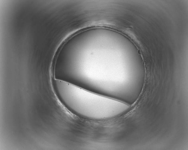 X0000076341032200609290913