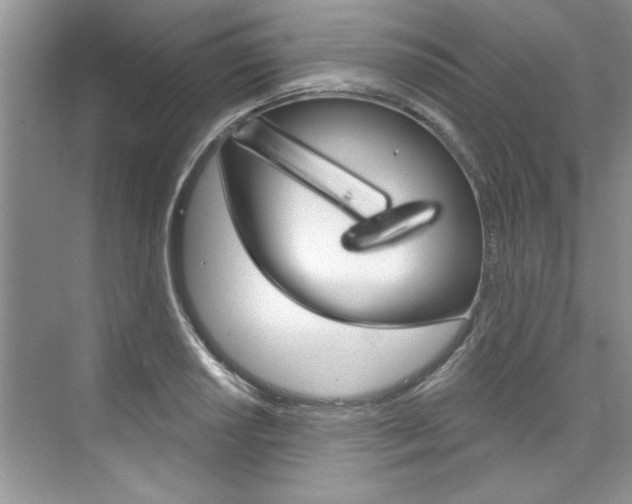 X0000076341034200609290913
