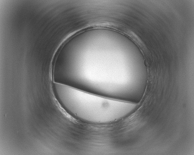 X0000076341036200609290913