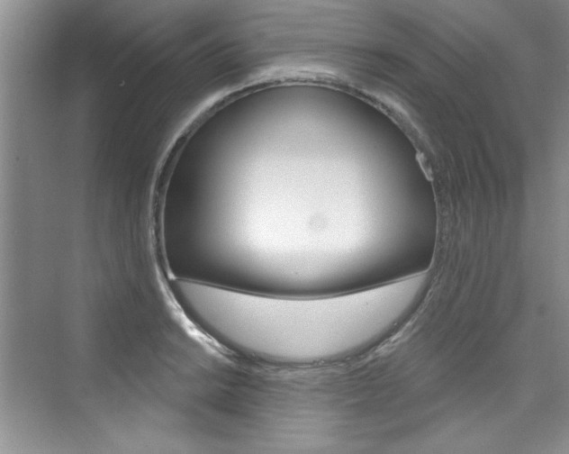 X0000076341038200609290913