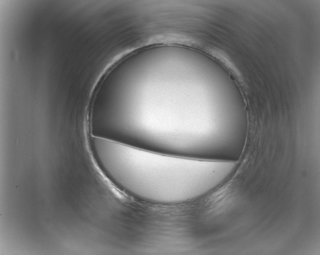 X0000076341040200609290913