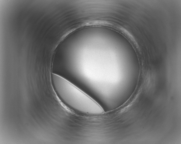 X0000076341041200609290913