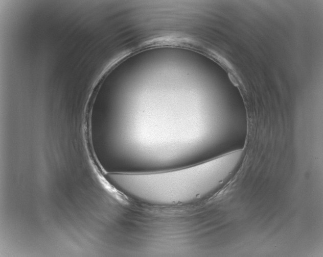 X0000076341042200609290913