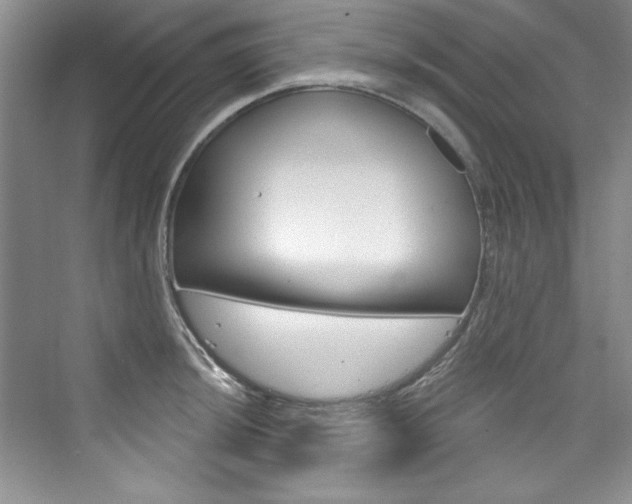 X0000076341044200609290914