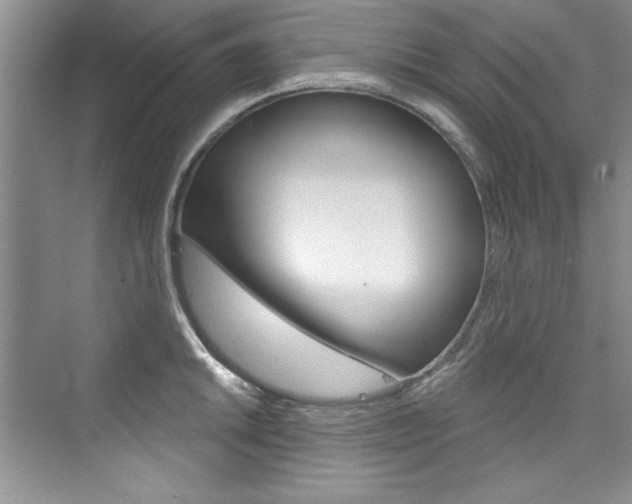 X0000076341046200609290914