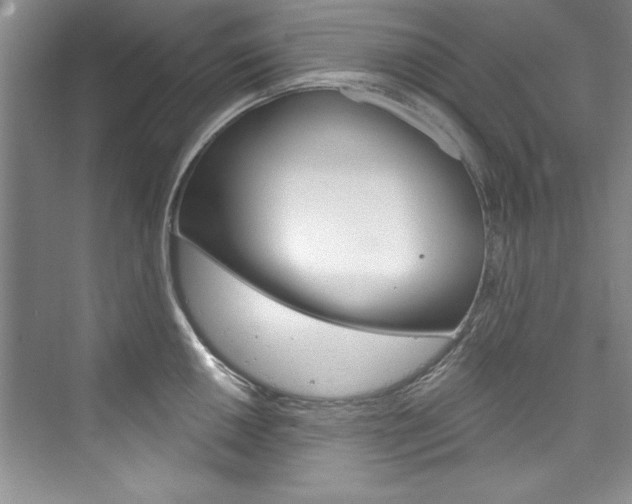 X0000076341050200609290914