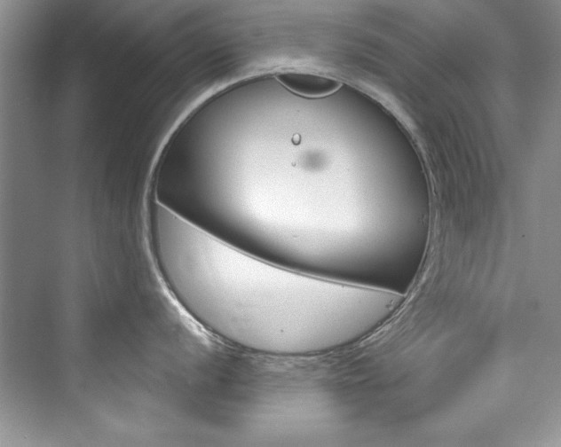 X0000076341056200609290914