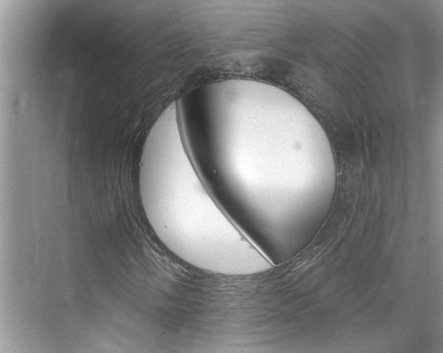 X0000076341058200609290913
