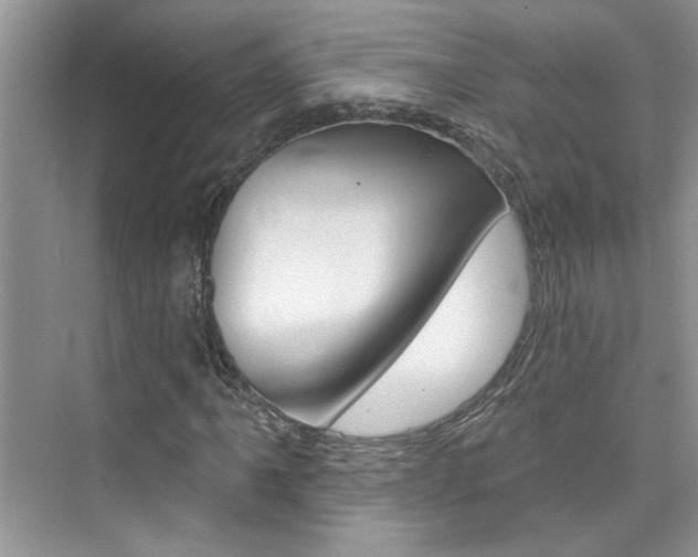 X0000076341061200609290913