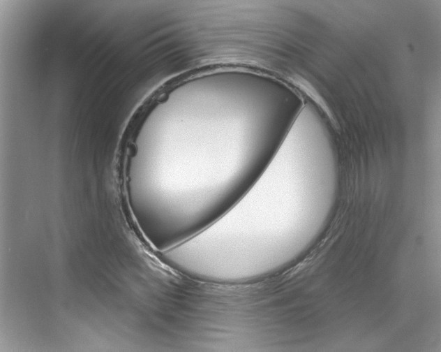 X0000076341068200609290913
