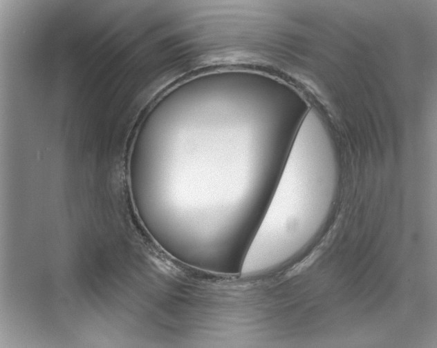 X0000076341073200609290913