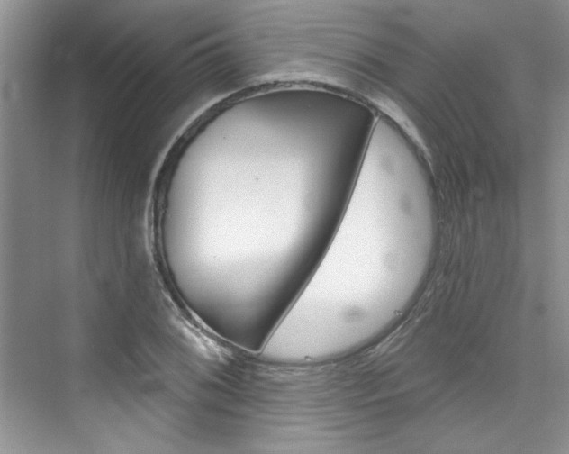 X0000076341076200609290913
