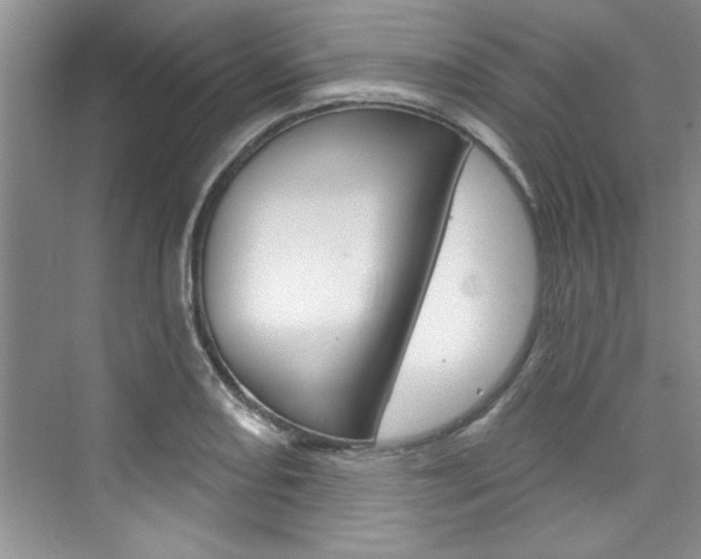 X0000076341082200609290912