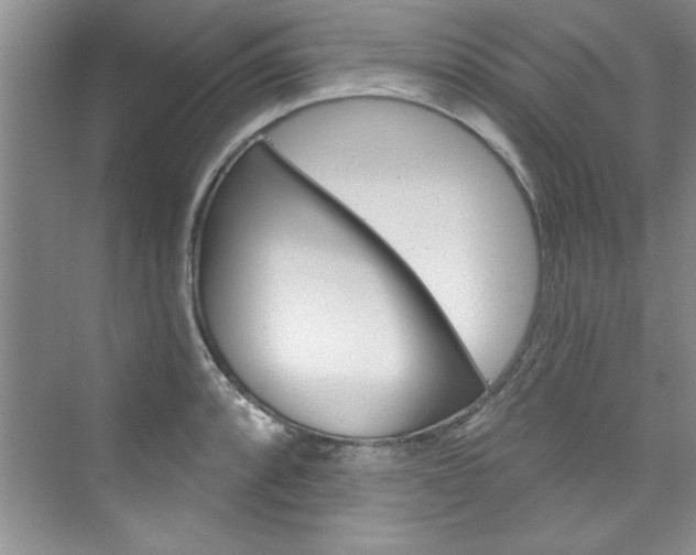 X0000076341088200609290912