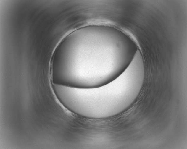 X0000076341103200609290912