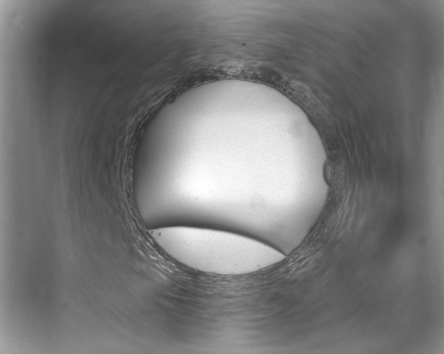 X0000076341105200609290911