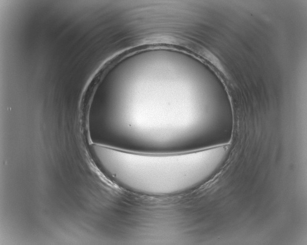 X0000076341116200609290911