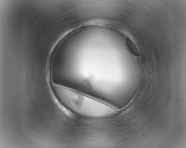 X0000076341131200609290912