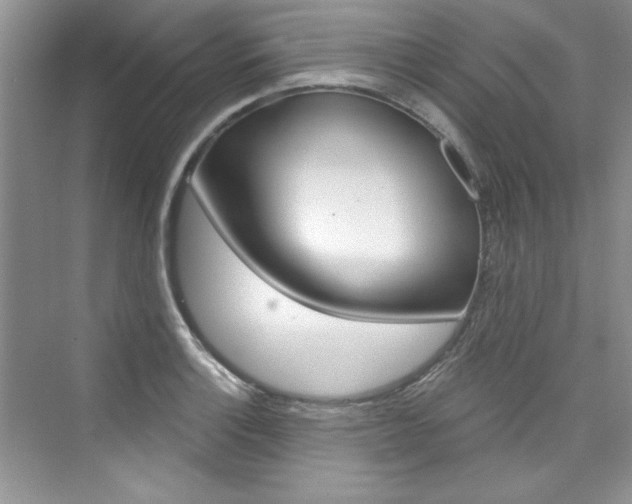 X0000076341132200609290912